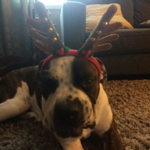 Meet your Posher, Tabitha